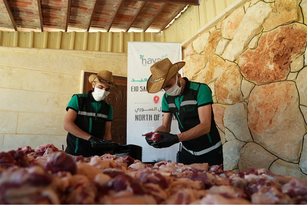 الاضاحي الحملات